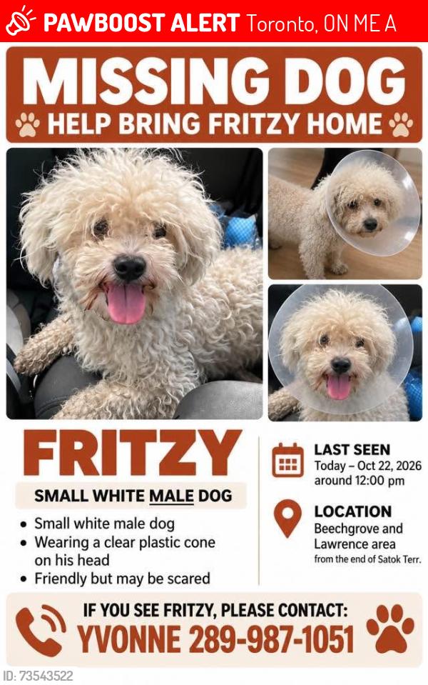 Lost Male Dog last seen Beechgrove and Lawerence, Toronto, ON M1E 4A1