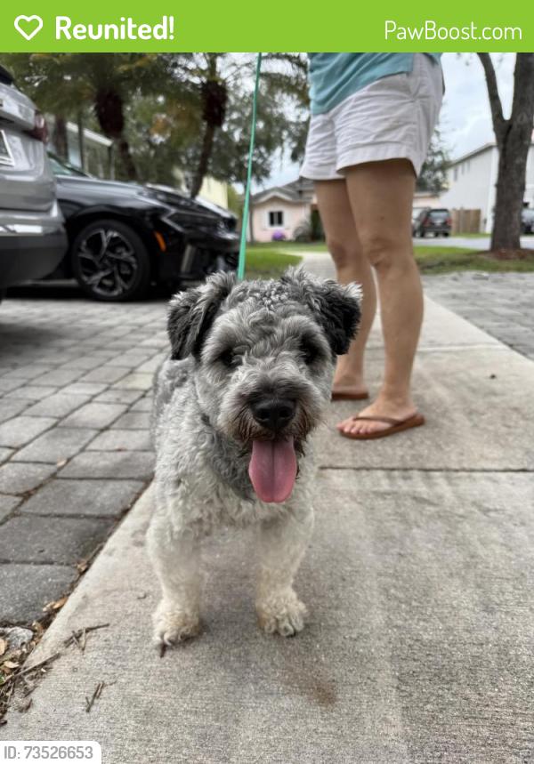 Reunited Male Dog last seen hmstd, Homestead, FL 33030