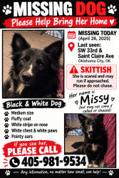 Reunited Female Dog last seen Sw 33rd and st Claire ave, Oklahoma City, OK 73119