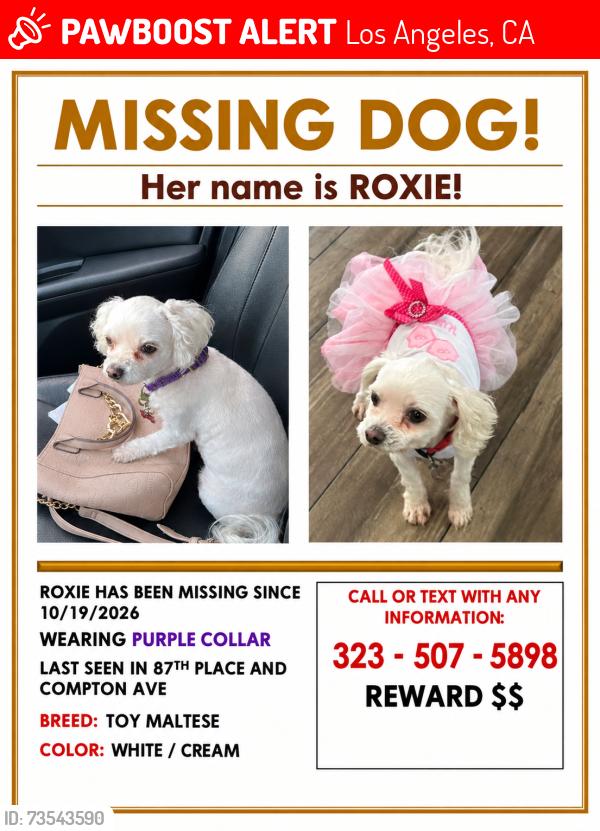 Lost Female Dog last seen Col. Leon H Washington Park, Los Angeles, CA 90001