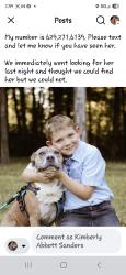 Reunited Female Dog last seen Curd Rd, Mt. Juliet, TN 37122