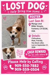 Lost Male Dog last seen Miller and Mango Fontana CA, Fontana, CA 92336