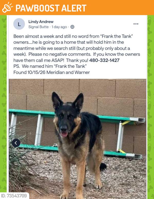 Found/Stray Male Dog last seen S Meridian Dr and W Warner Ave, Apache Junction, AZ 85119