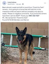 Found/Stray Male Dog last seen S Meridian Dr and W Warner Ave, Apache Junction, AZ 85119