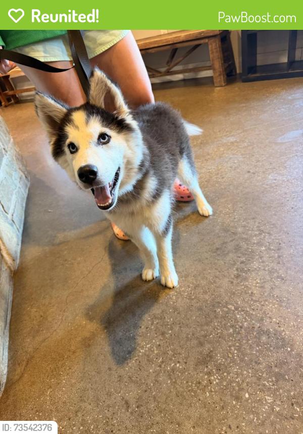 Reunited Unknown Dog last seen Zion Dr, Providence Village, TX 76227