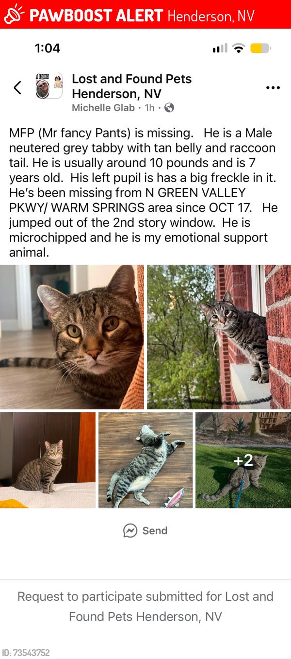 Lost Male Cat last seen N green valley pkwy/ warm valley ranch, Henderson, NV 89015