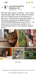 Lost Male Cat last seen N green valley pkwy/ warm valley ranch, Henderson, NV 89015