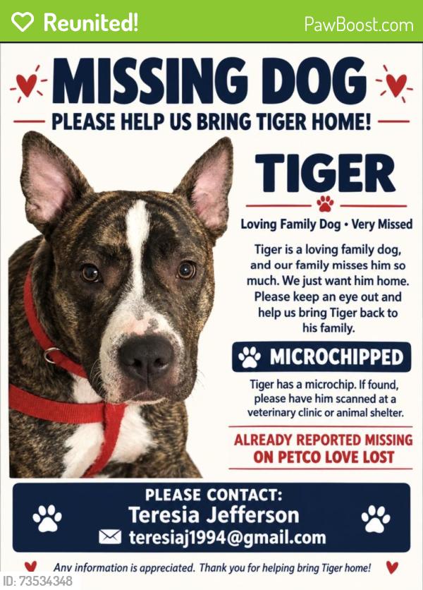 Reunited Male Dog last seen Sandstone drive Arlington Tx, Arlington, TX 76001