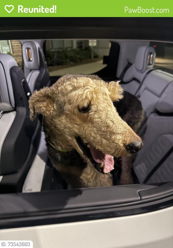 Reunited Male Dog last seen Near Tryon Rd by the NinetyNine apmts, Raleigh, NC 27603