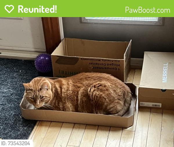 Reunited Male Cat last seen Near ave 176 street, Edmonton, AB T5T 3W2