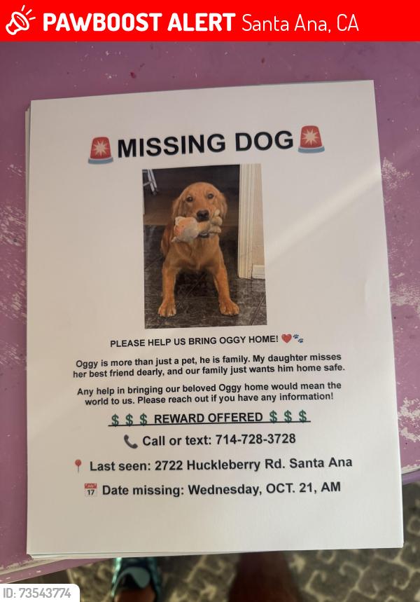 Lost Male Dog last seen Near and Fairview, Santa Ana, CA 92706