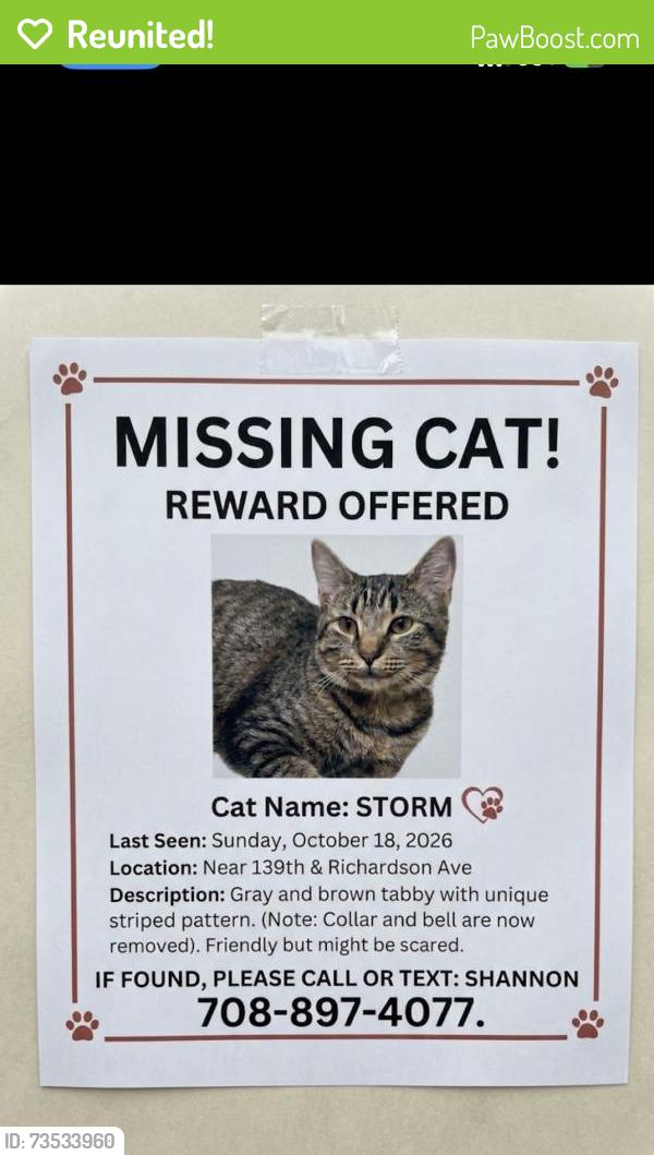 Reunited Male Cat last seen 139th and Richardson Ave., Robbins, IL 60472