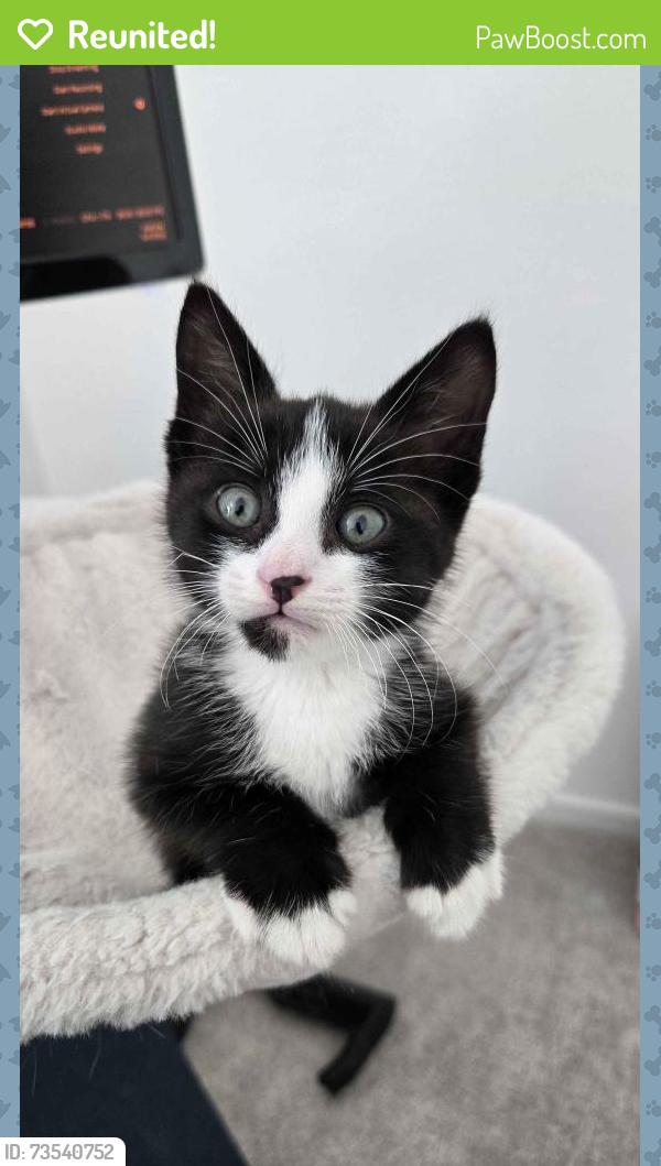 Reunited Male Cat last seen He usually gets out on sila drive somewhere, Huffman, TX 77336