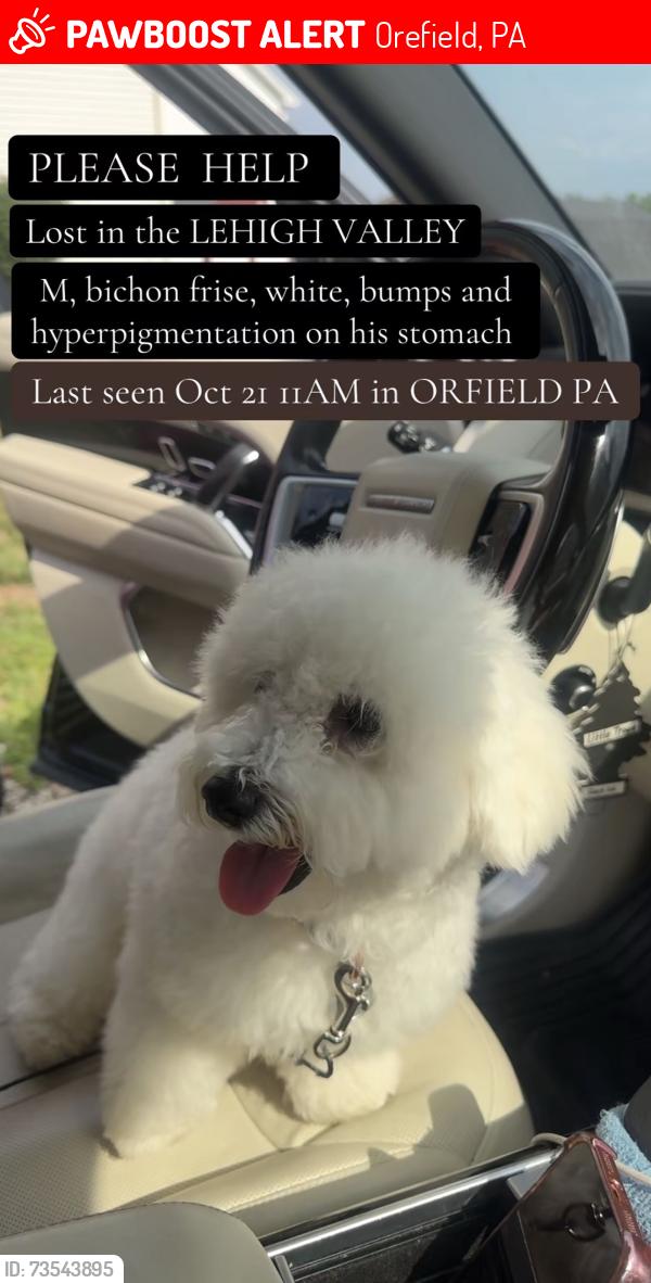 Lost Male Dog last seen Near overlook rd, Orefield, PA 18069