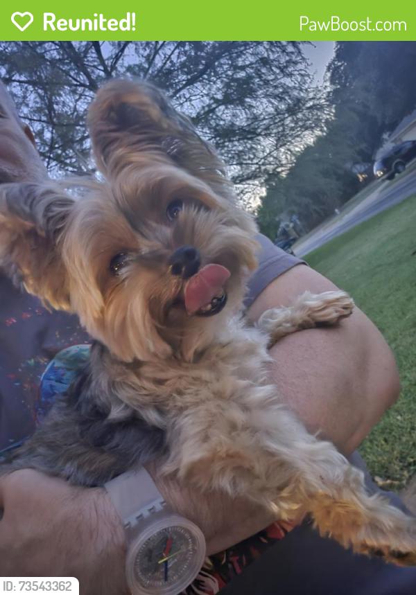Reunited Male Dog last seen Oakside Dr, Arlington, TX 76016, USA, Arlington, TX 76016