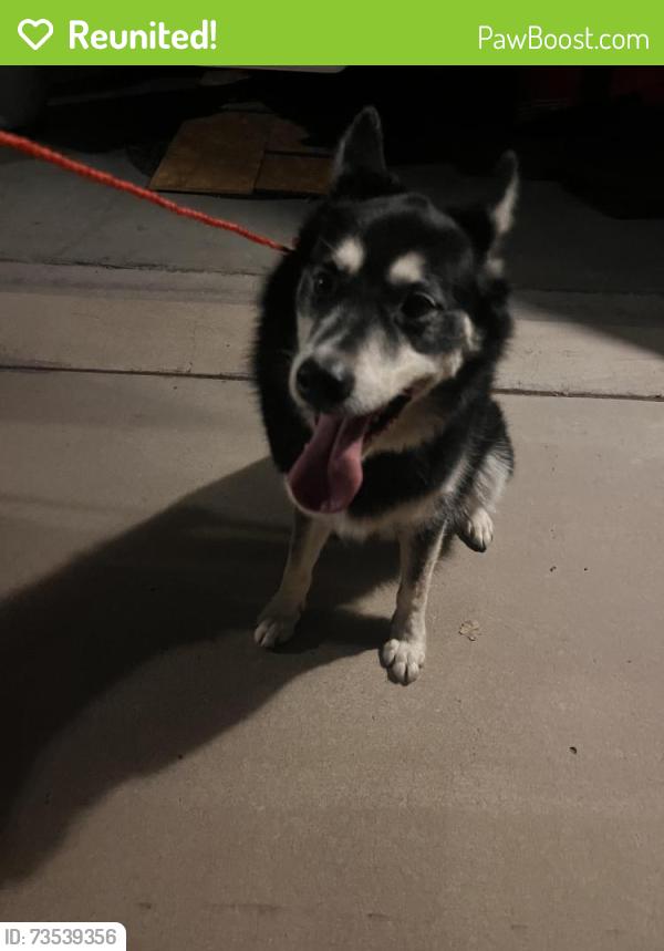 Reunited Male Dog last seen Louisiana and Paseo, Albuquerque, NM 87113