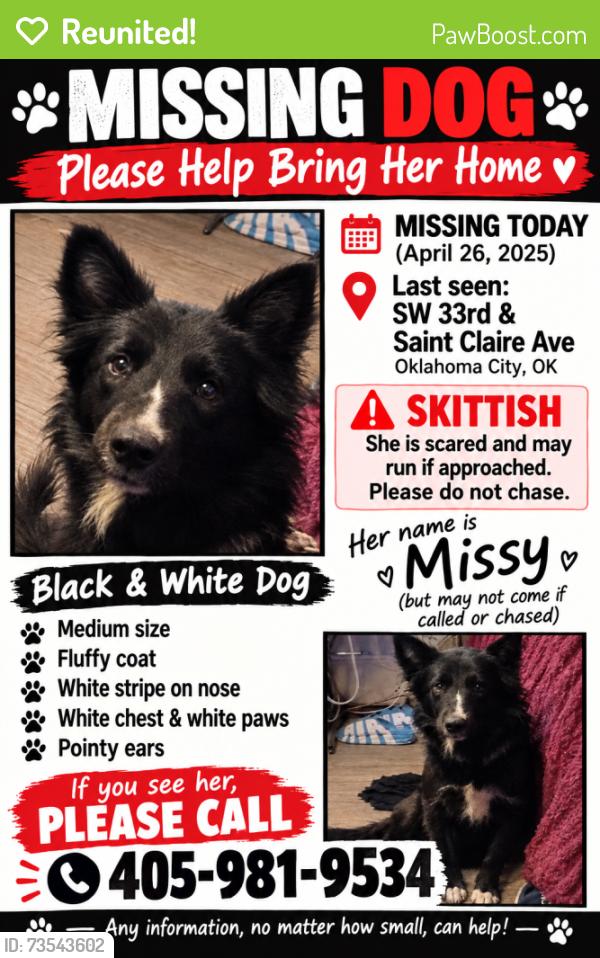 Reunited Female Dog last seen Sw 33rd and st Claire ave, Oklahoma City, OK 73119
