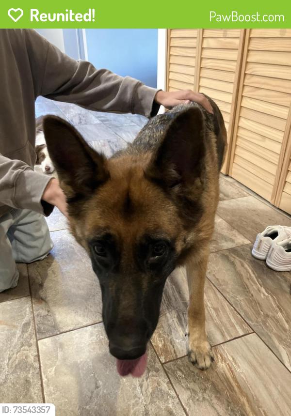 Reunited Female Dog last seen Interurban road, Saanich, BC V9E 2B6