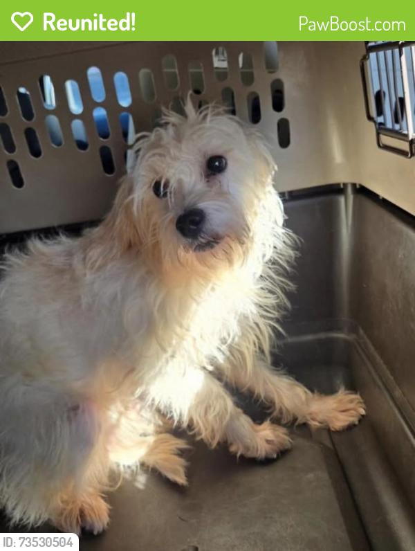 Reunited Female Dog last seen Near S 2700 W, West Valley City, near the Valley Fair Mall, West Valley City, UT 84119