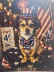 Reunited Male Dog last seen Thrasher/Meadow/Oldfeild, Homosassa Springs, FL 34446