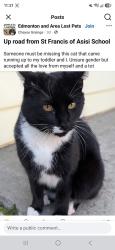 Reunited Male Cat last seen Kinnaird Ravine, Edmonton, AB T5H 3R7