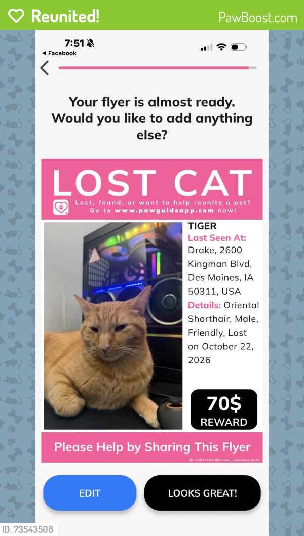 Reunited Male Cat last seen Near Kingman Blvd, Des Moines, IA 50311, USA, Des Moines, IA 50311