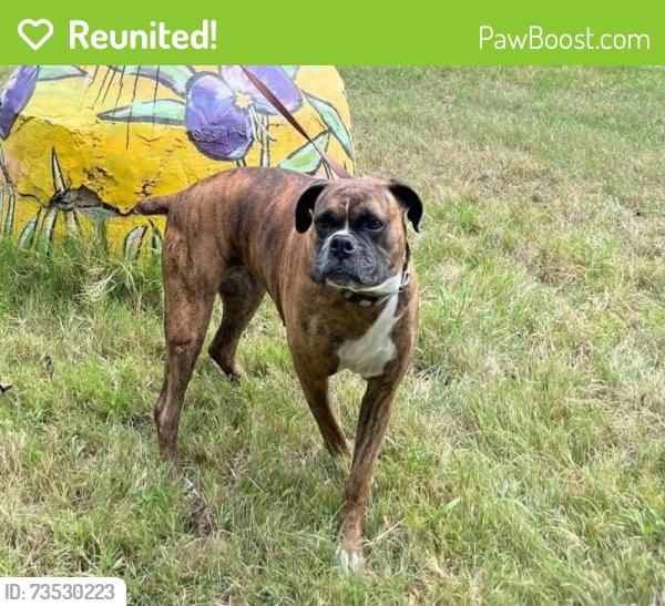 Reunited Female Dog last seen 25th st and Arkansas (north side), Wichita, KS 67204