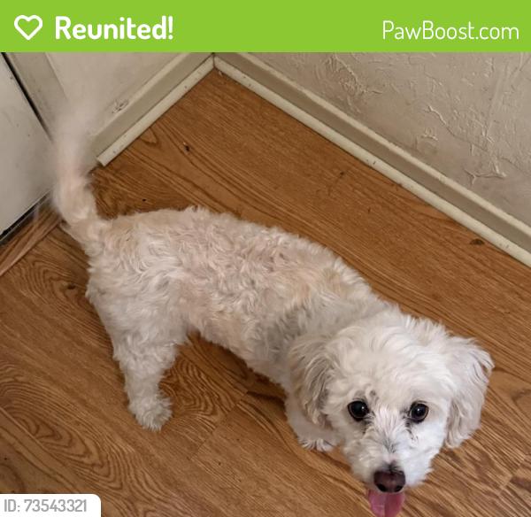 Reunited Female Dog last seen Willow Park, Anaheim, CA 92802