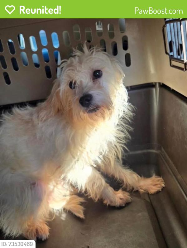 Reunited Female Dog last seen Near S 2700 W, West Valley City, UT near Valley Fair Mall, West Valley City, UT 84119