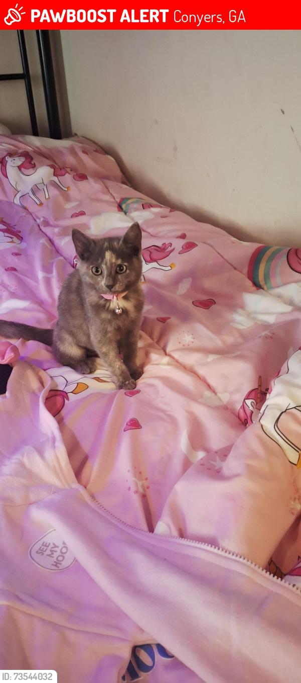 Lost Female Cat last seen Rogers rd and Cindy Dr, Conyers, GA 30094