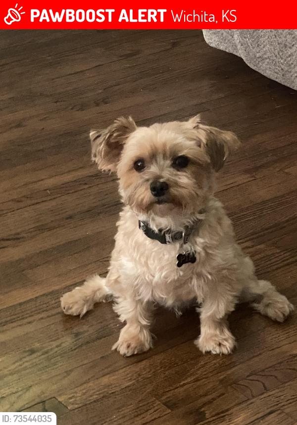 Lost Male Dog last seen Park, Wichita, KS 67202