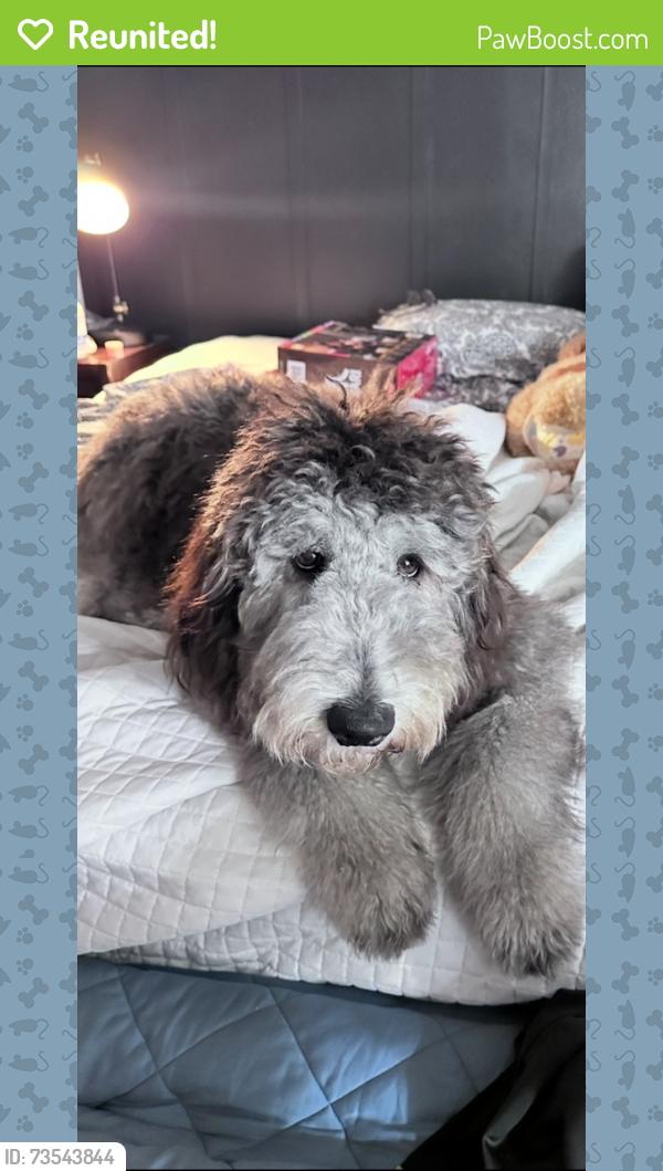 Reunited Female Dog last seen Lauren lane, DeLand, FL 32720