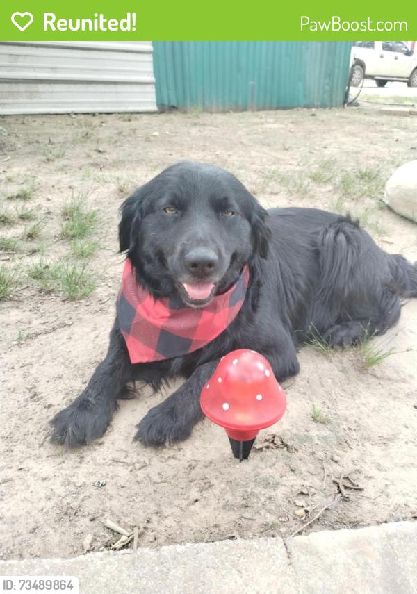 Reunited Male Dog last seen A church is located near by, Henderson County, TX 75148