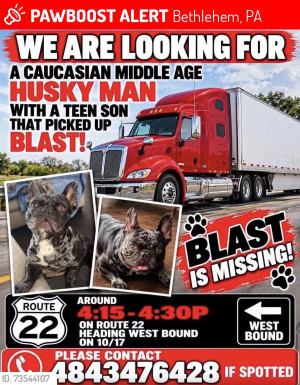 Lost Male Dog last seen Picked up on 22 west bound, Bethlehem, PA 18017