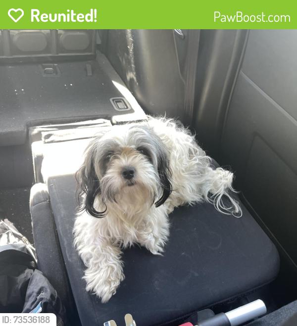 Reunited Female Dog last seen Near Balmoral Dr E, Oxon Hill, MD 20745