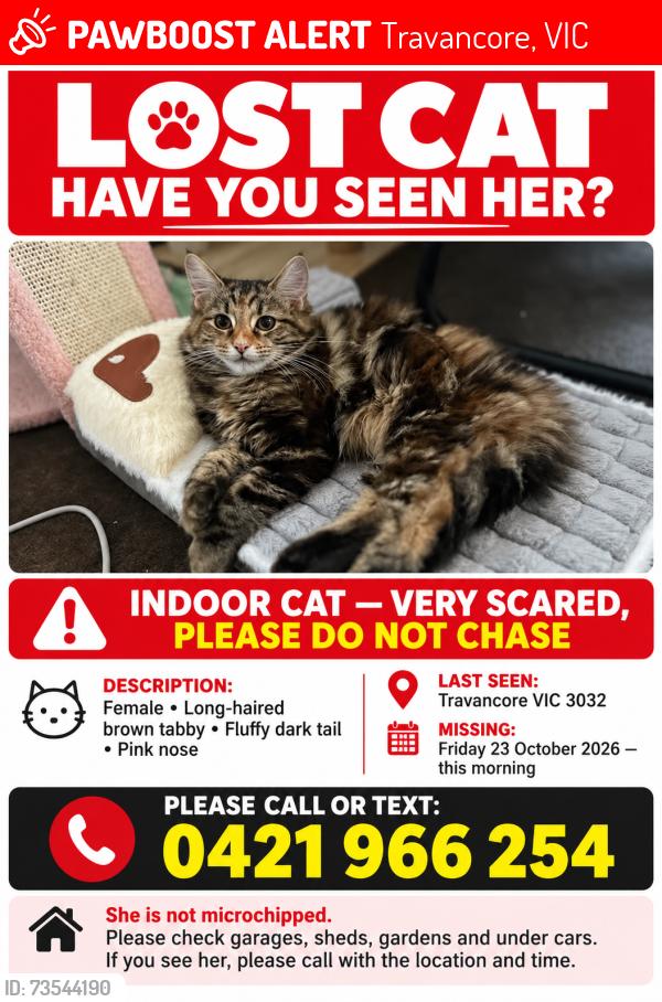 Lost Female Cat last seen Anytime fitness, Travancore, Travancore, VIC 3031