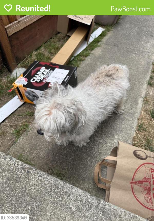 Reunited Female Dog last seen Burnham way & Gresel, Hayward, CA 94544