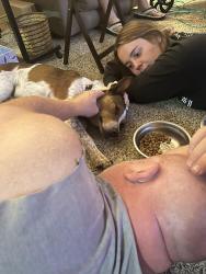 Reunited Male Dog last seen Nolan River and Yellow jacket, Cleburne, TX 76033