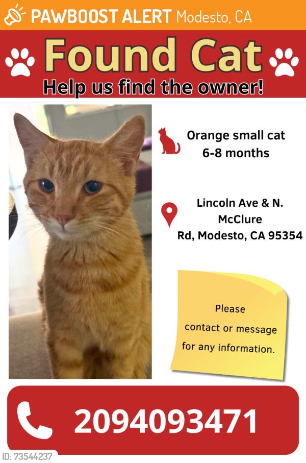 Found/Stray Unknown Cat last seen Lincoln Ave & N. McClure Rd Modesto CA 95354, Modesto, CA 95354