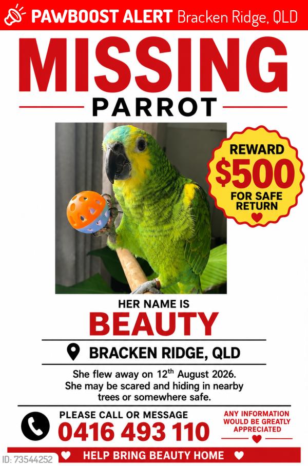 Lost Female Bird last seen 7/22 Gawler cres pool, Bracken Ridge, QLD 4017