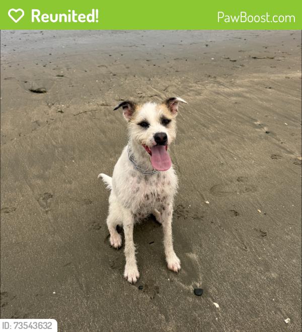 Reunited Male Dog last seen 9th Street, Benicia, CA 94510