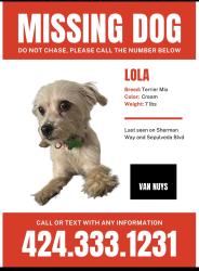 Lost Female Dog last seen Victory and Sepulveda, Los Angeles, CA 91411