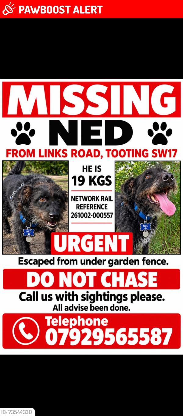 Lost Male Dog last seen Lis, Greater London, England 