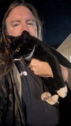 Reunited Male Cat last seen Manassas Drive & Colfax Drive, Manassas Park, VA 20111