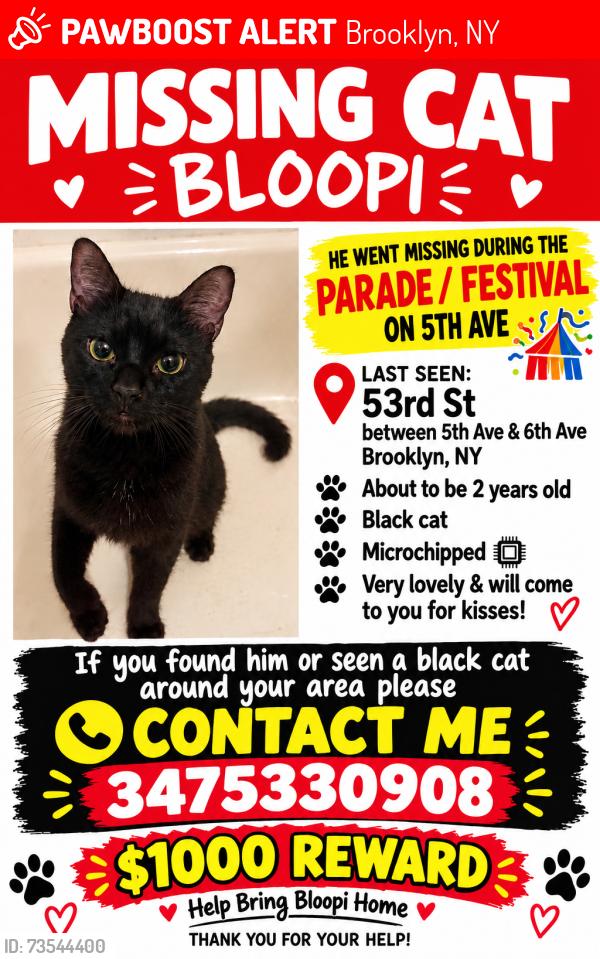 Lost Male Cat last seen 53rd st 5th Ave, Brooklyn, NY 11215