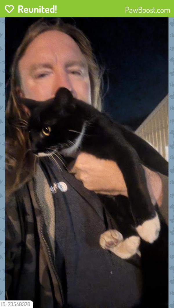 Reunited Male Cat last seen Manassas Drive & Colfax Drive, Manassas Park, VA 20111