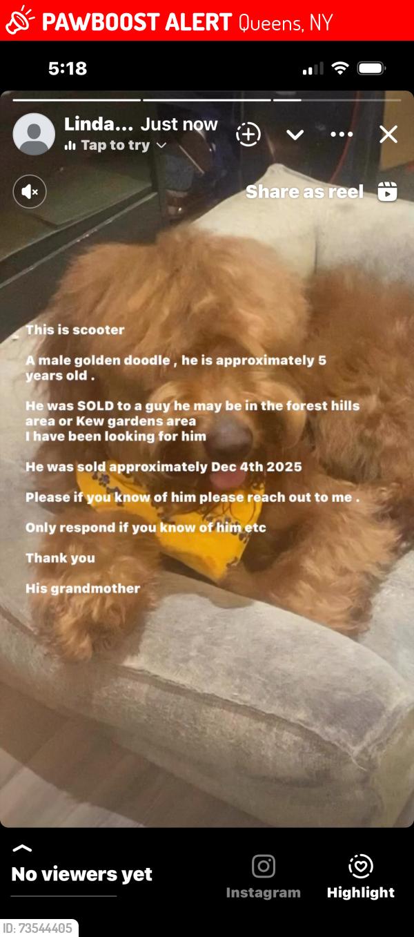 Lost Male Dog last seen Bell blvd bayside queens ny, Queens, NY 11360