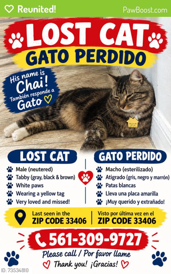 Reunited Male Cat last seen Fl mango and summit blvd, West Palm Beach, FL 33406