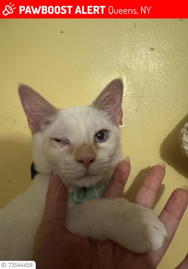Lost Male Other last seen 95th street and 40th road, Queens, NY 11373