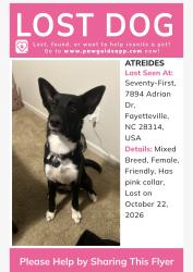 Reunited Female Dog last seen Raeford and cliffdale, Fayetteville, NC 28314